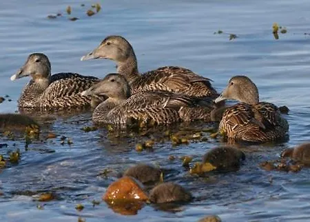 Nabolos Rooms, Near Munkebo, Kerteminde And Nyborg *