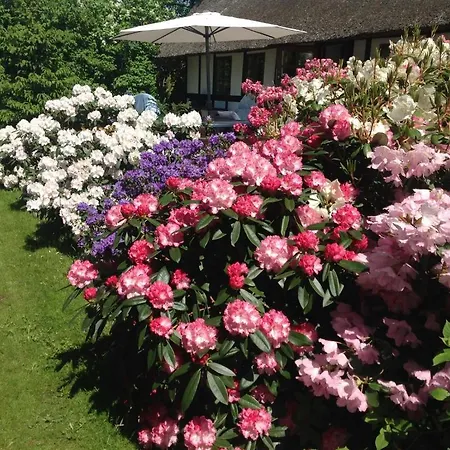 B&B Nabolos Rooms, Near Munkebo, Kerteminde And Nyborg *
