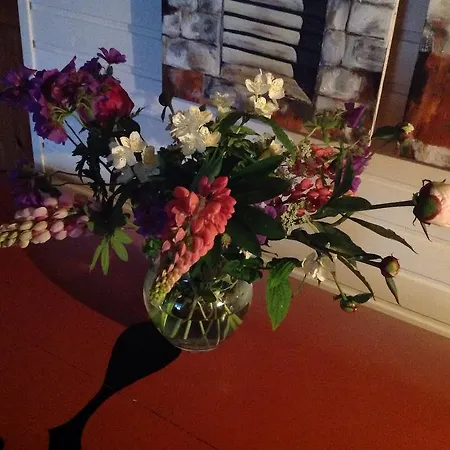 Nabolos Rooms, Near Munkebo, Kerteminde And Nyborg Bed & Breakfast *