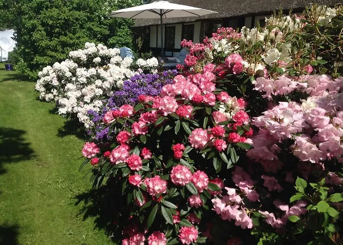 Panzió Nabolos Rooms, Near Munkebo, Kerteminde And Nyborg *