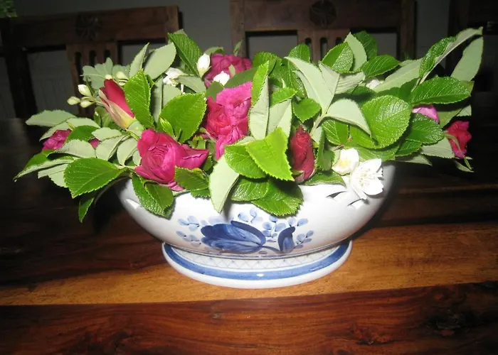 Panzió Nabolos Rooms, Near Munkebo, Kerteminde And Nyborg