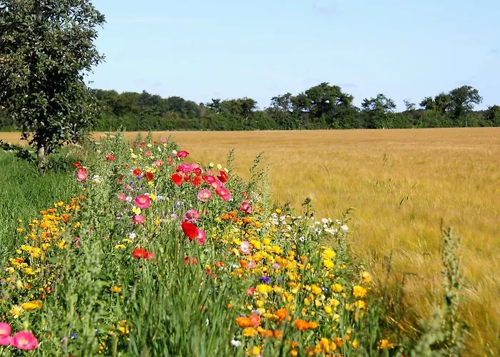 Panzió Nabolos Rooms, Near Munkebo, Kerteminde And Nyborg