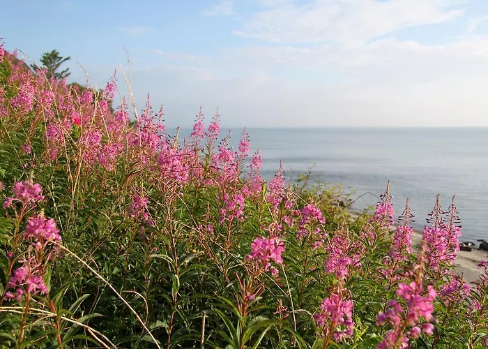 Nabolos Rooms, Near Munkebo, Kerteminde And Nyborg *